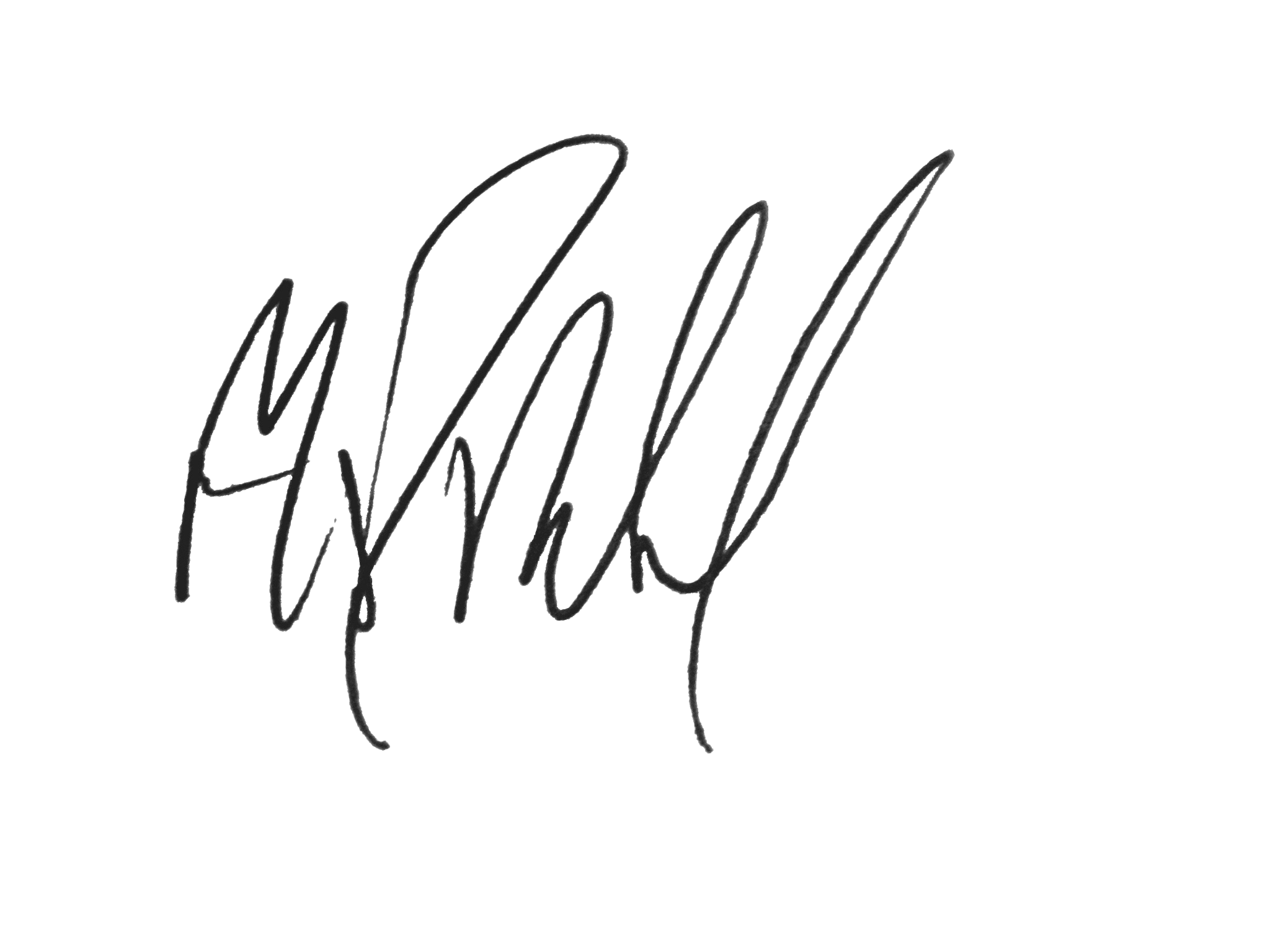 CFO signature graphic